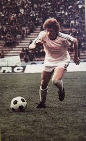 Damir Desnica