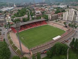 Bilino Polje