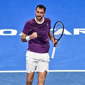 Marin Čilić
