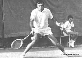 Nikola Špear