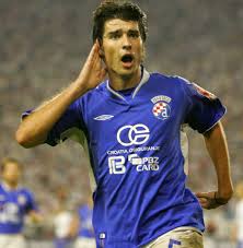 Vedran Ćorluka