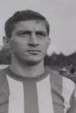 Velibor Vasović