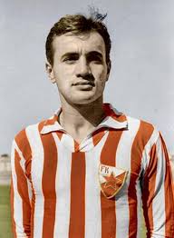 Vladimir Popović Vladica