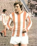 Zoran Antonijević Žota