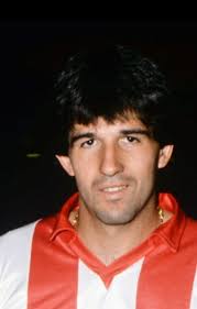 Aleksandar Stojanović Dika